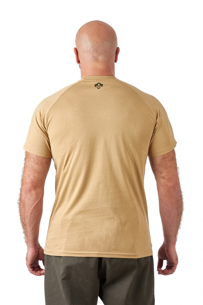 Футболка Орион Logo T-Shirt (Лого) (хлопок, бежевый) OTS-02BG